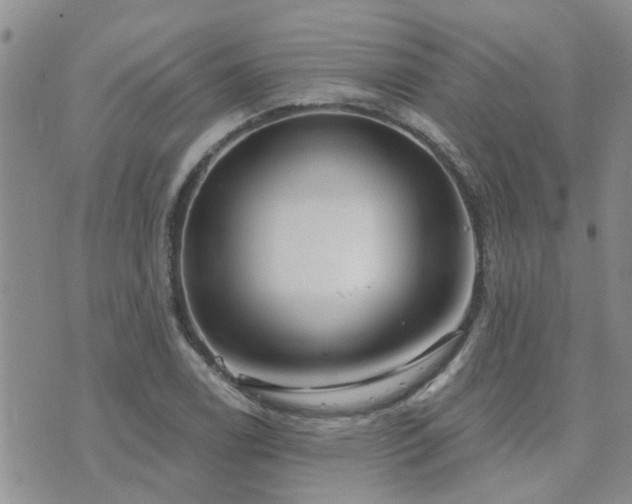 X0000073711122200608031233