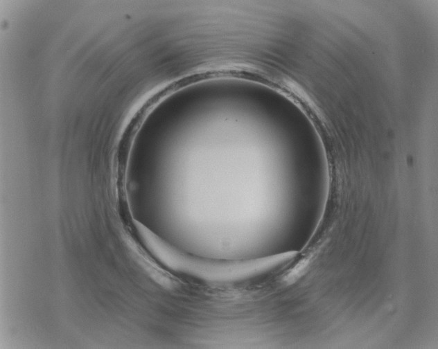 X0000073711124200608031233