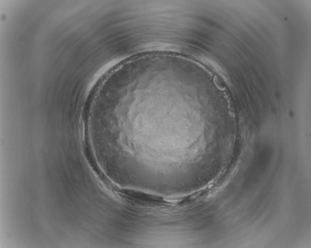 X0000073711125200608031233