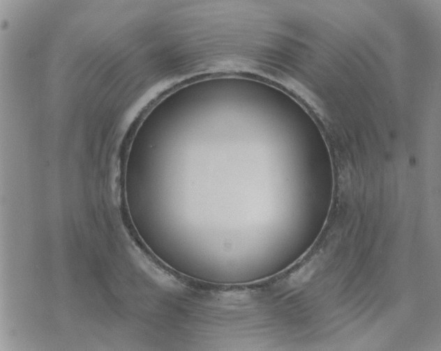 X0000073711126200608031233