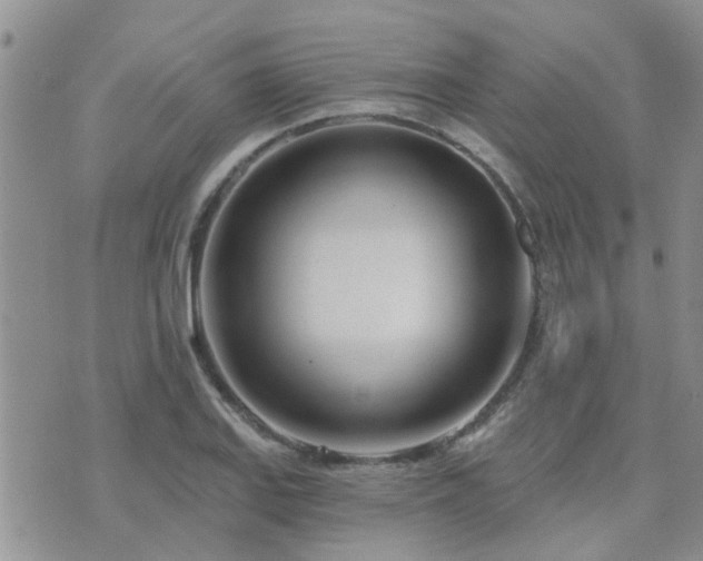 X0000073711127200608031233