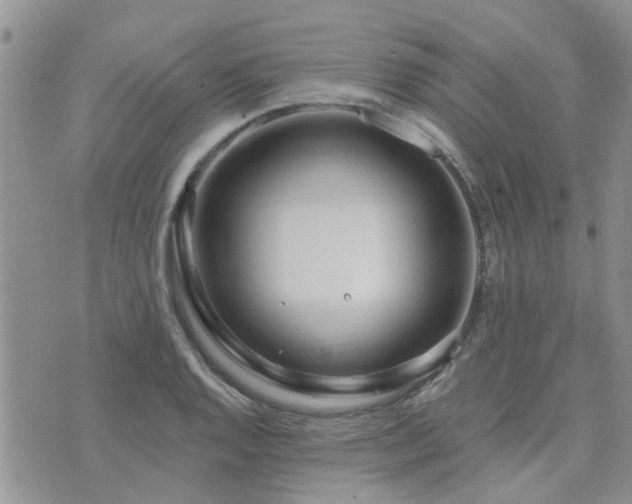 X0000073711128200608031233