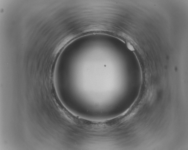 X0000073711129200608031233