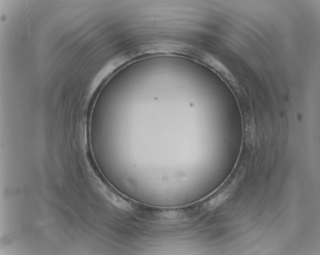 X0000073711130200608031233