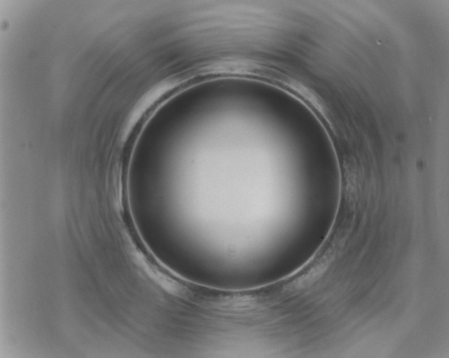 X0000073711131200608031233