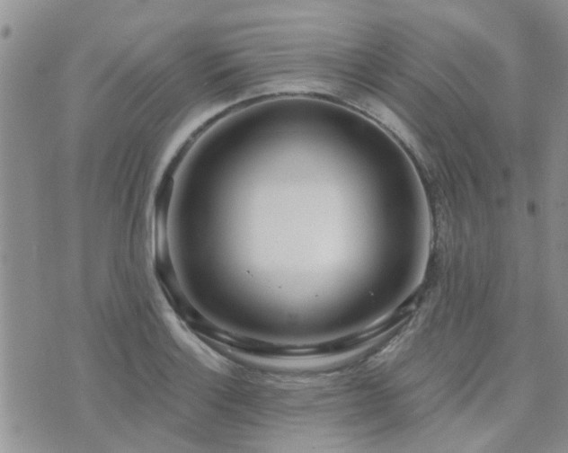 X0000073711132200608031233