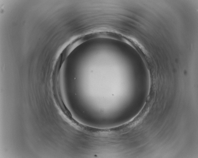 X0000073711134200608031233