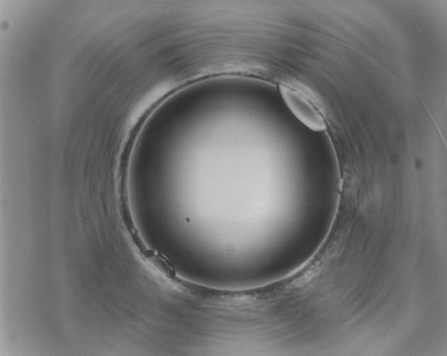 X0000073711135200608031233