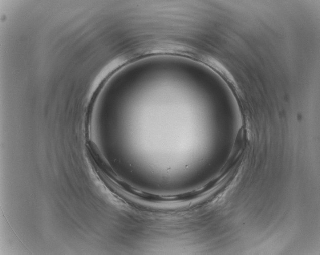 X0000073711138200608031233