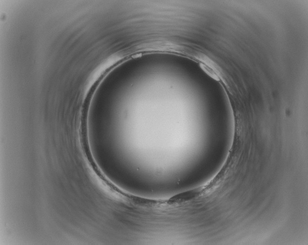 X0000073711139200608031233