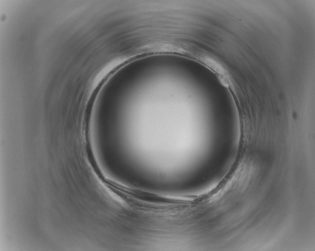 X0000073711141200608031233