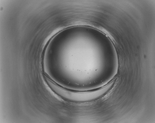 X0000073711142200608031233