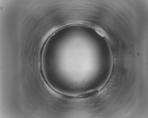 X0000073711143200608031233