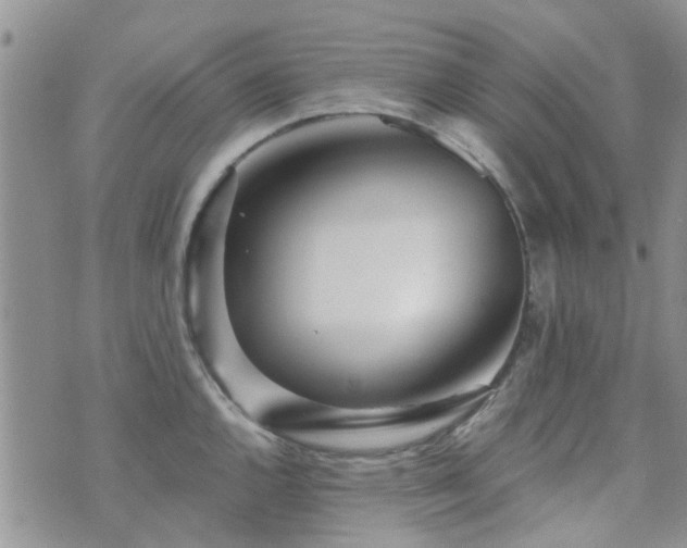 X0000073711144200608031233