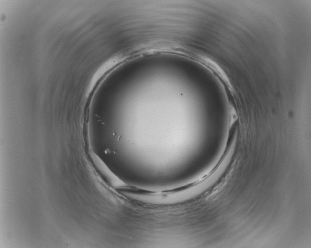 X0000073711146200608031233