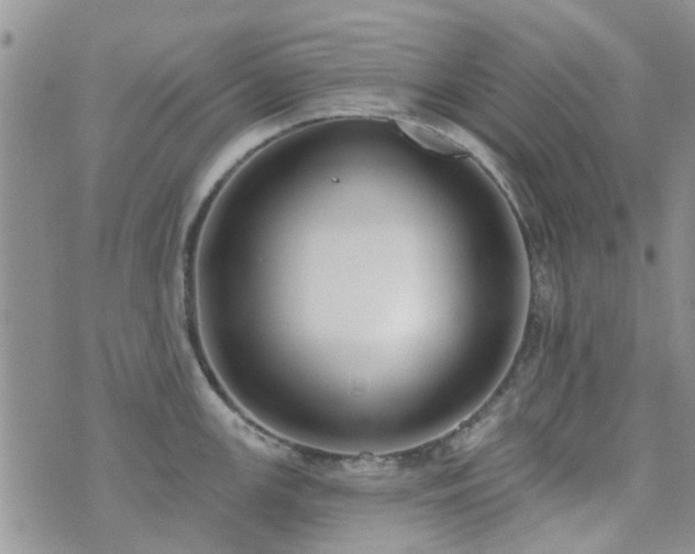 X0000073711147200608031233