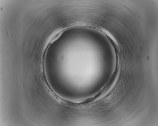 X0000073711148200608031233