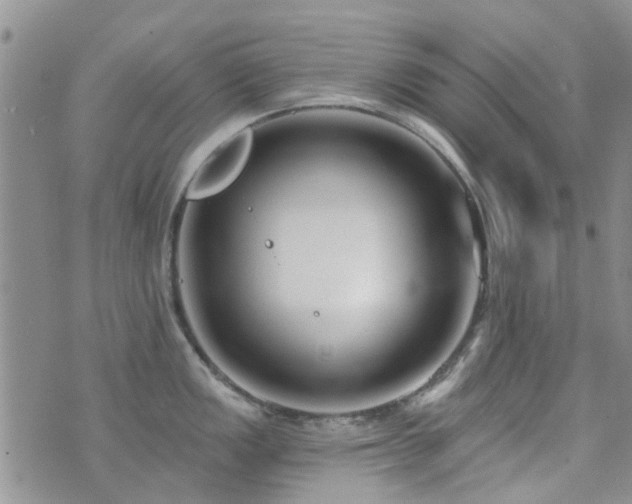 X0000073711149200608031233