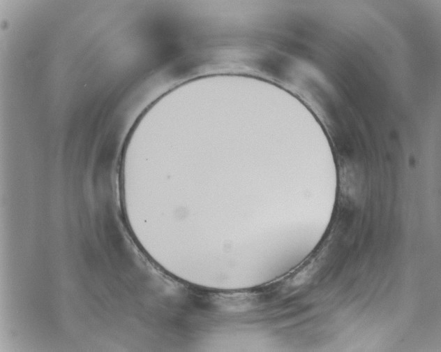 X0000073711150200608031233