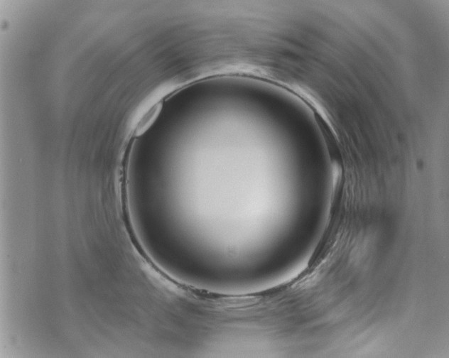 X0000073711151200608031233