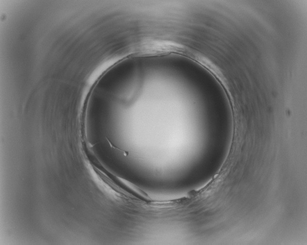 X0000073711152200608031233