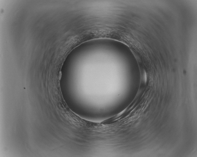 X0000073711153200608031232