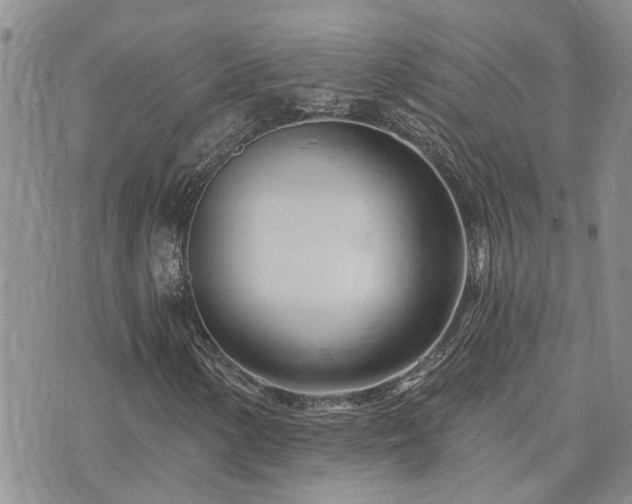 X0000073711154200608031232