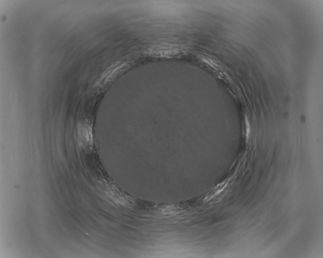 X0000073711155200608031232