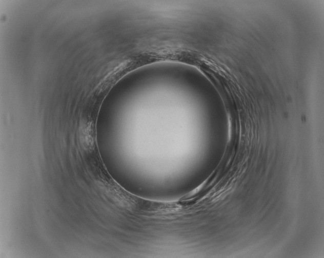 X0000073711156200608031232