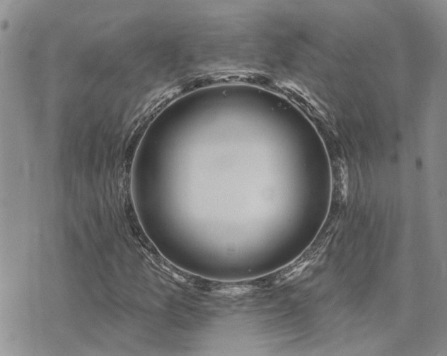 X0000073711157200608031232