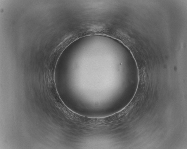 X0000073711158200608031232