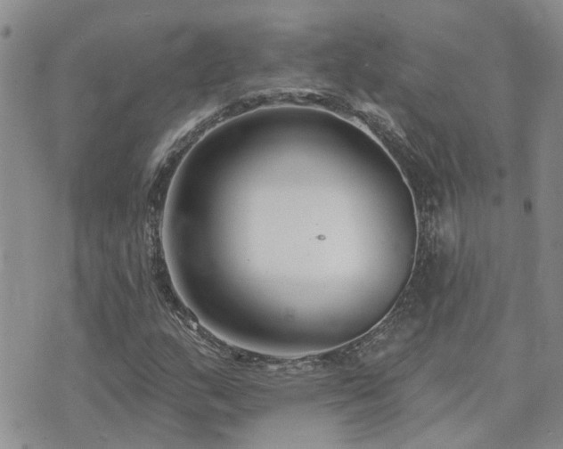 X0000073711159200608031232