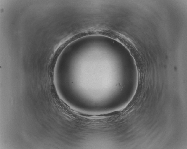 X0000073711160200608031232