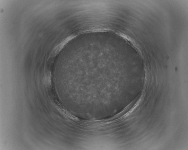 X0000073711161200608031232