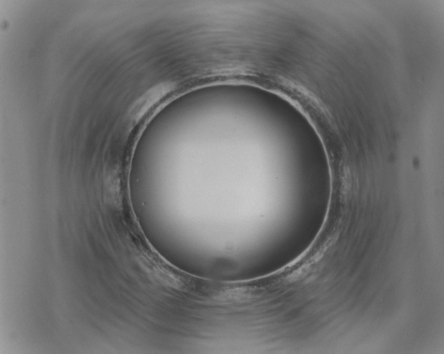 X0000073711162200608031232