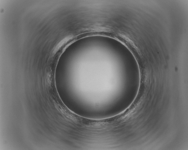 X0000073711163200608031232