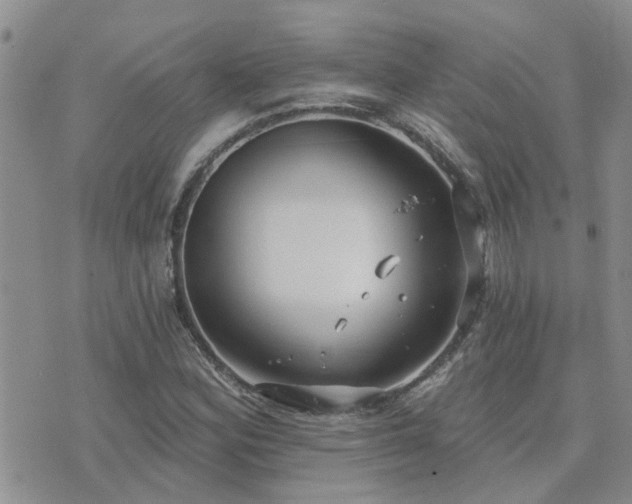 X0000073711164200608031232