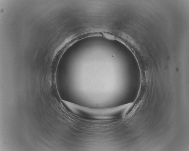 X0000073711165200608031232