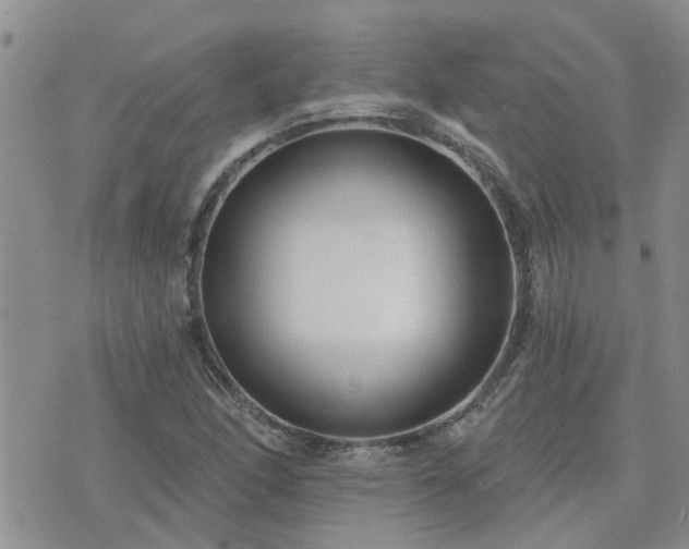 X0000073711166200608031232