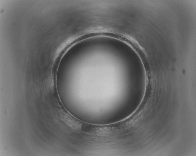 X0000073711167200608031232