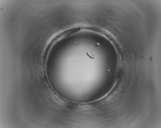 X0000073711168200608031232