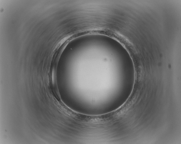 X0000073711169200608031232