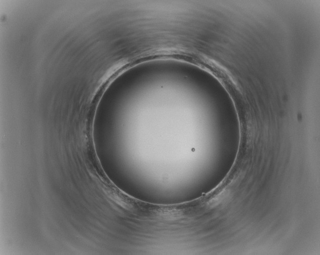 X0000073711170200608031232