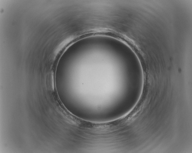 X0000073711171200608031232