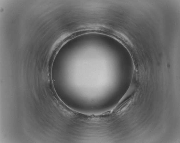 X0000073711172200608031232