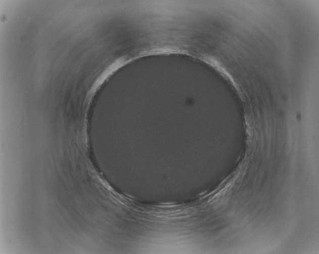 X0000073711173200608031232