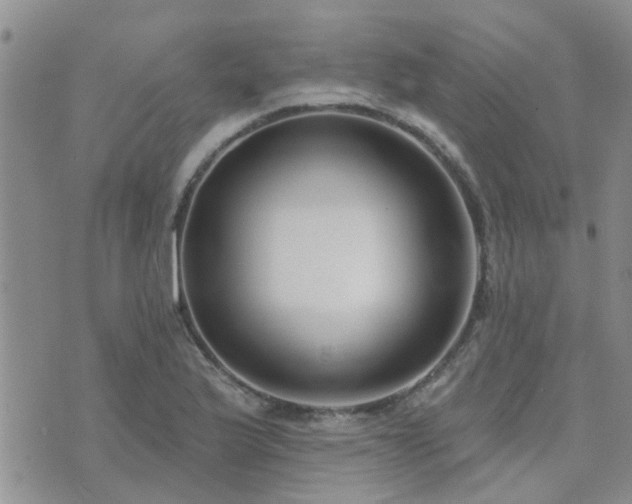 X0000073711175200608031232