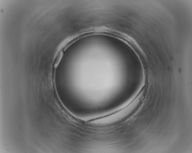 X0000073711176200608031232