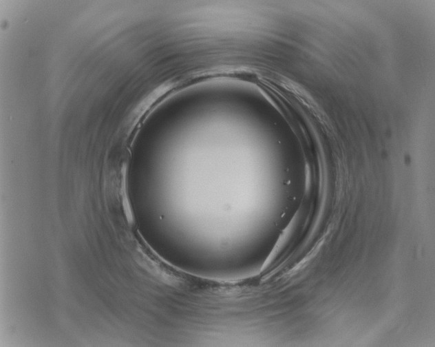 X0000073711177200608031232