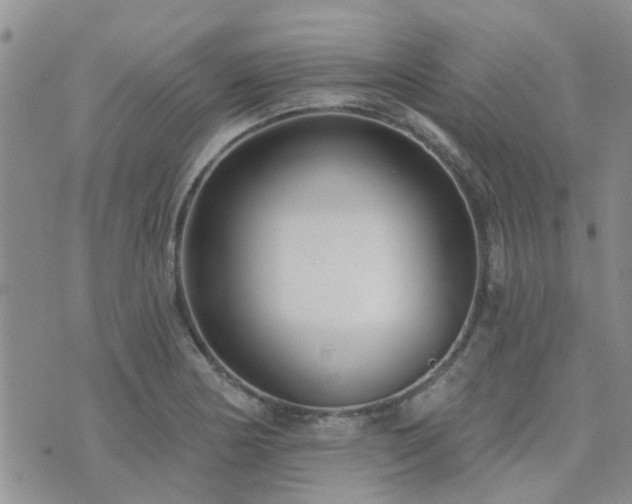 X0000073711178200608031232